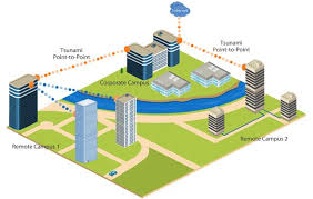 Fiber Optic Community Area Networks
